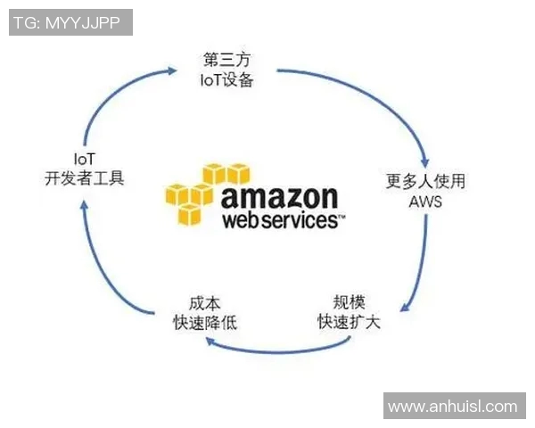 深入分析西安羽毛球队运营策略与发展模式的成功之道