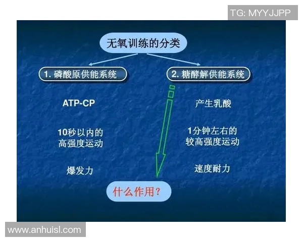 重庆羽毛球队进攻战术深度解析与训练策略探讨