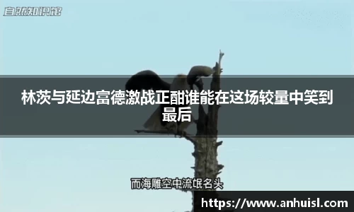谈球吧