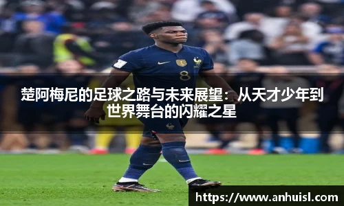 谈球吧